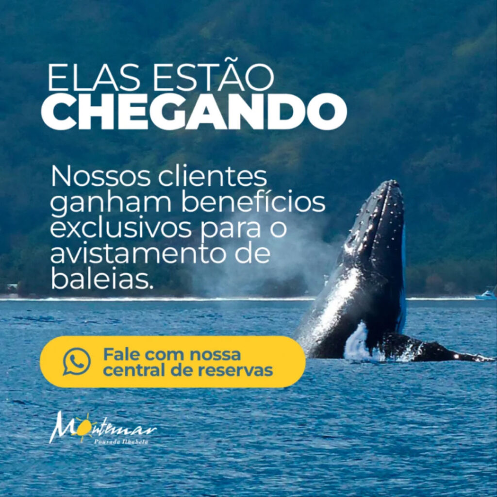 promocao-imagem-587-vbCudHy6Cx